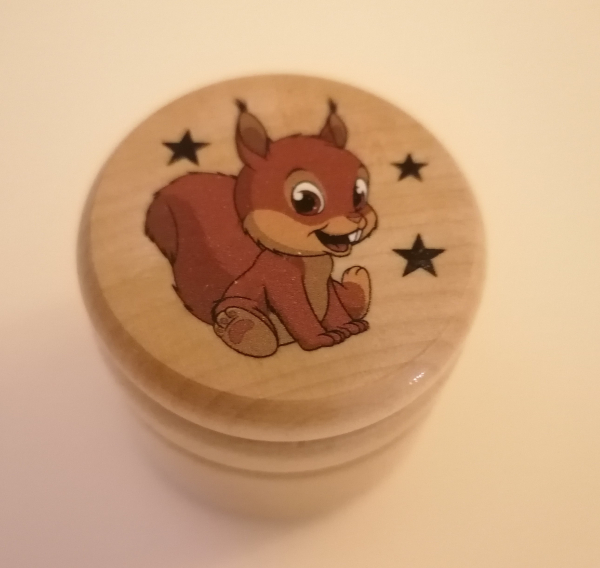Zahndose Eichhörnchen, natur